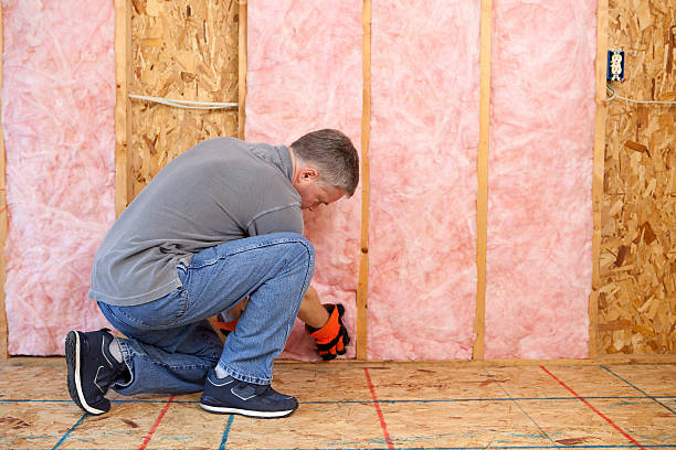 Professional Insulation Contractor in Meadowlakes, TX