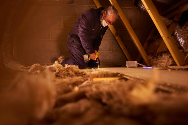 Best Insulation Maintenance and Repair in Meadowlakes, TX