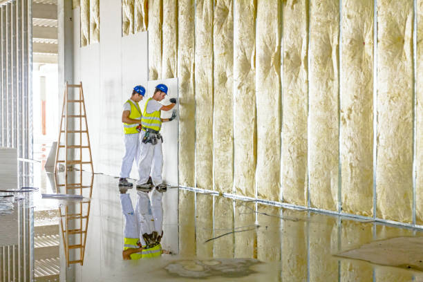 Best Eco-Friendly Insulation in Meadowlakes, TX
